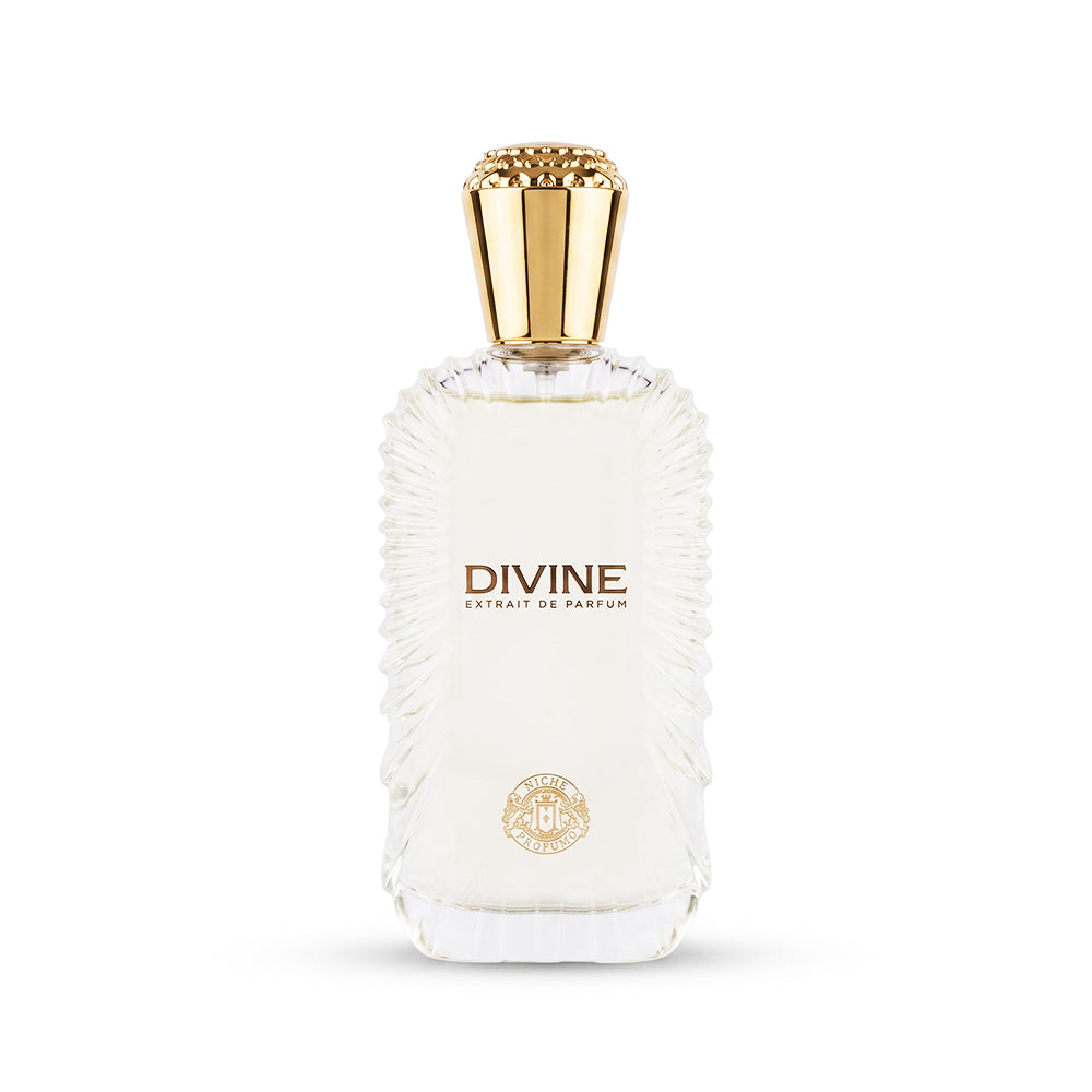 Niche Profumo Divine Extrait De Parfum 100ML Unisex – Aromatic Woody Perfume
