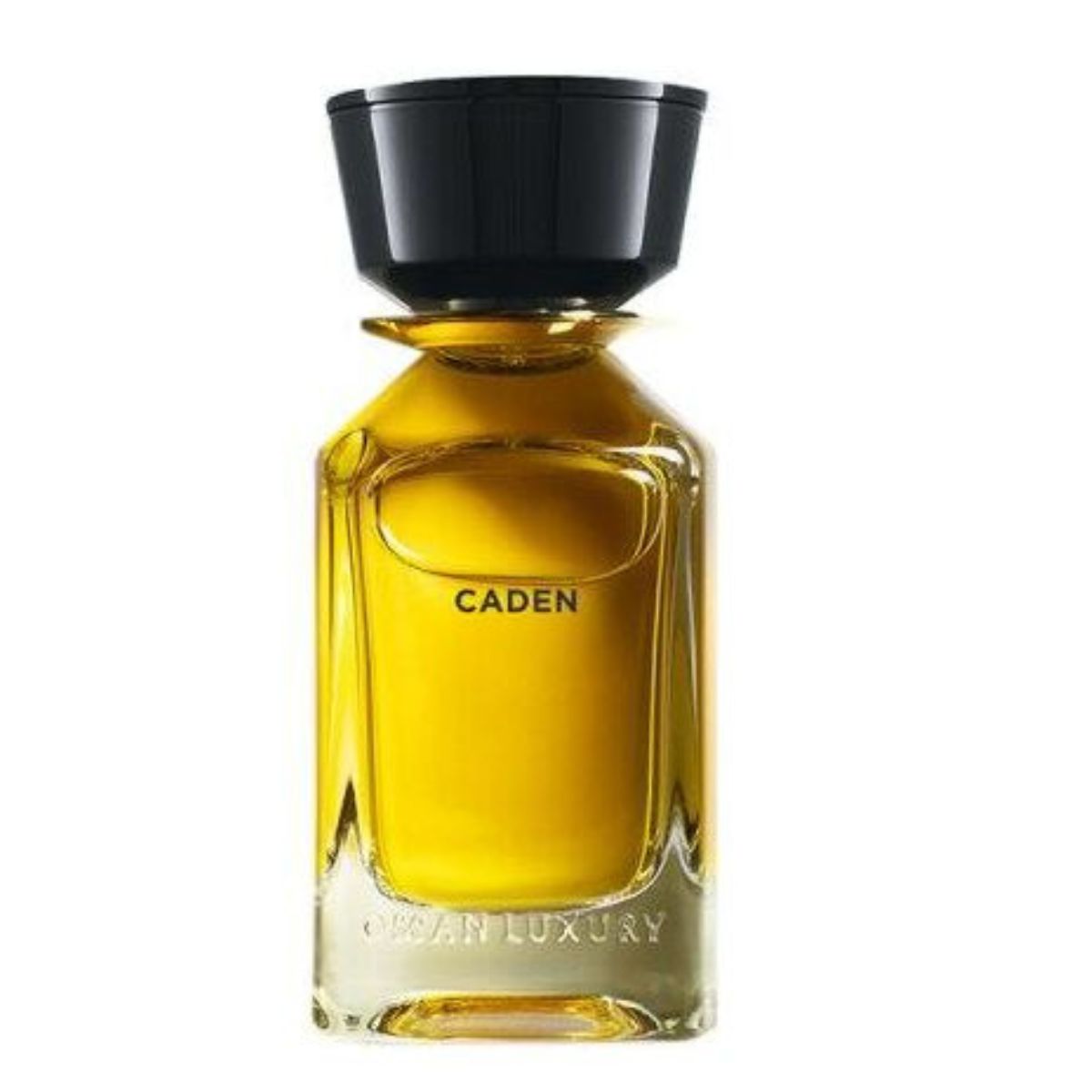 Caden Eau De Parfum 100ML Spicy Woody Unisex Perfume | Oman Luxury
