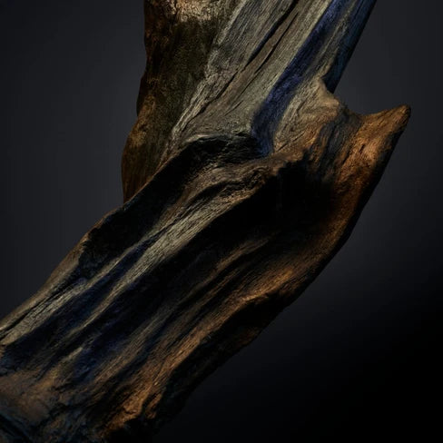 Hugo Boss Bottled Parfum for Men 100ML