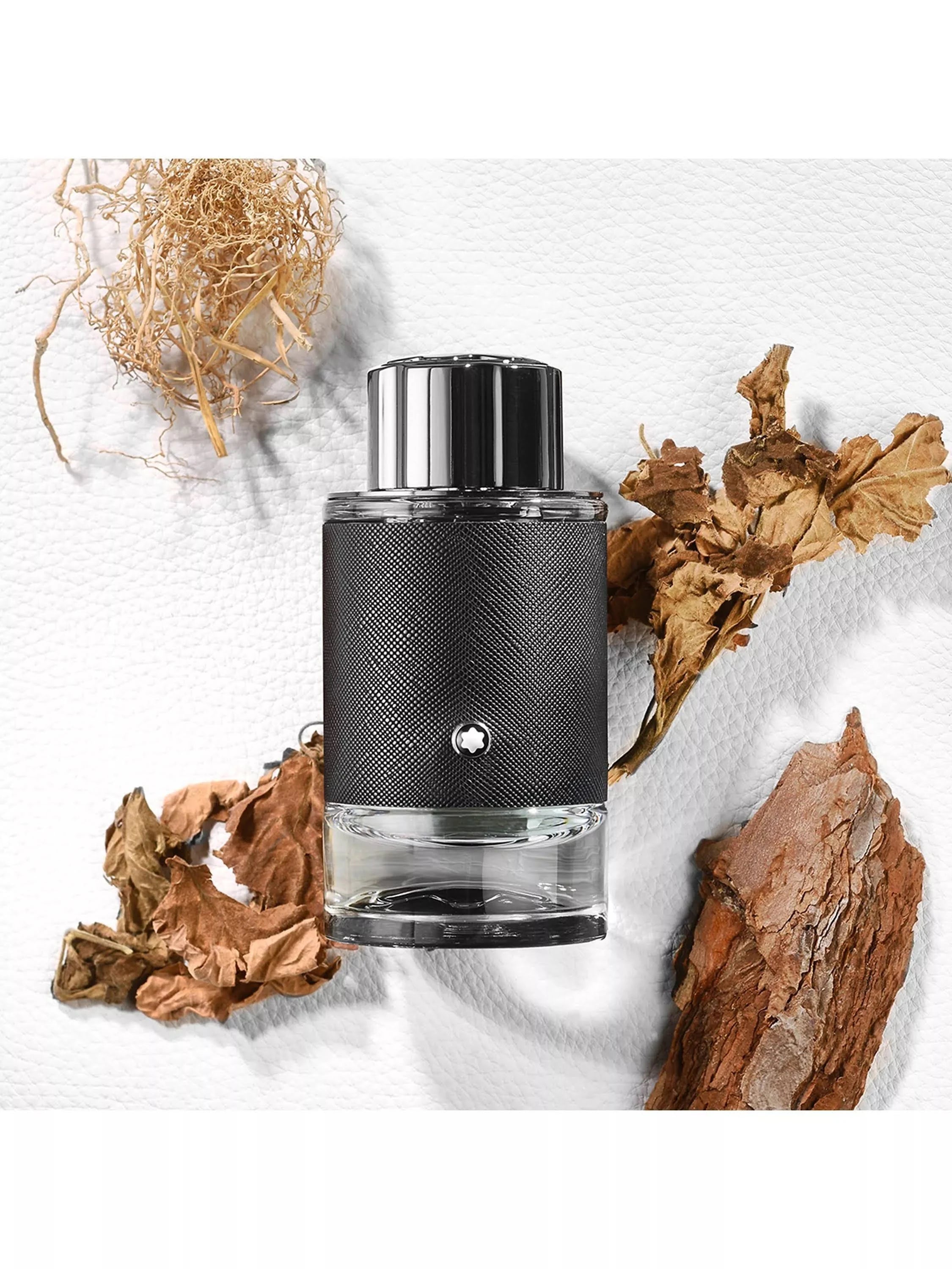 Mont Blanc Explorer Eau De Parfum for men 100 ML